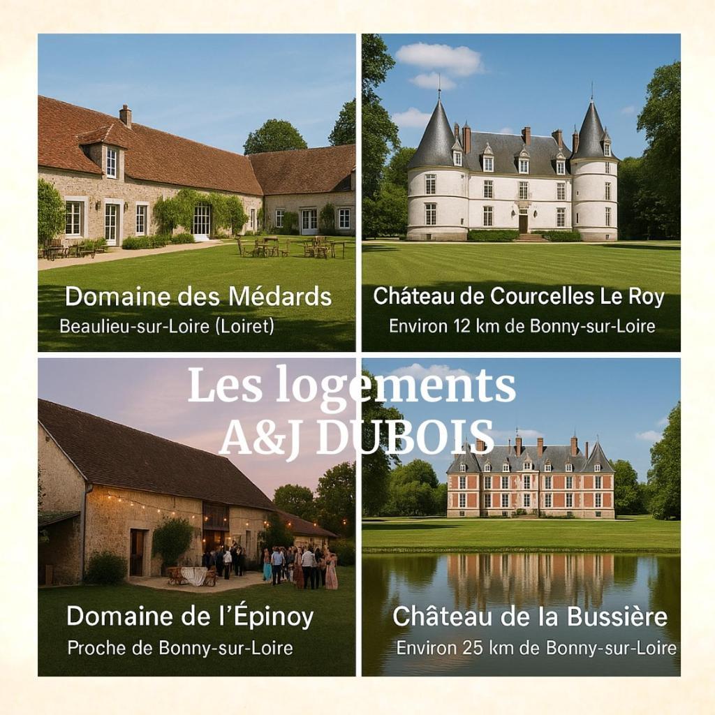 A&Jduplex - Bonny Sur Loire - Chateaux De Guedelon - Pont Canal Exterior photo